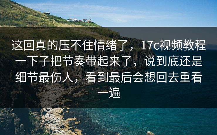 这回真的压不住情绪了，17c视频教程一下子把节奏带起来了，说到底还是细节最伤人，看到最后会想回去重看一遍
