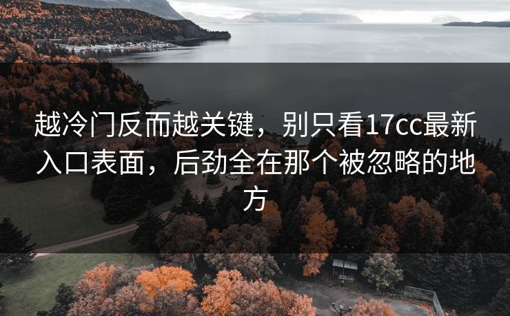 越冷门反而越关键，别只看17cc最新入口表面，后劲全在那个被忽略的地方