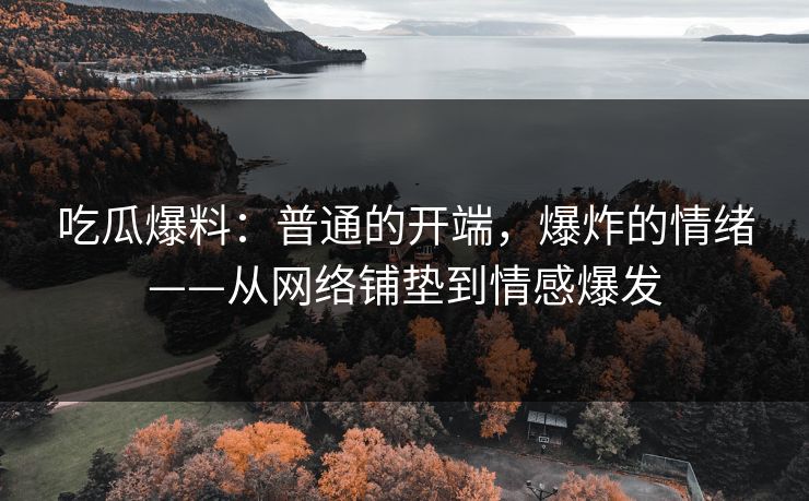 吃瓜爆料：普通的开端，爆炸的情绪——从网络铺垫到情感爆发